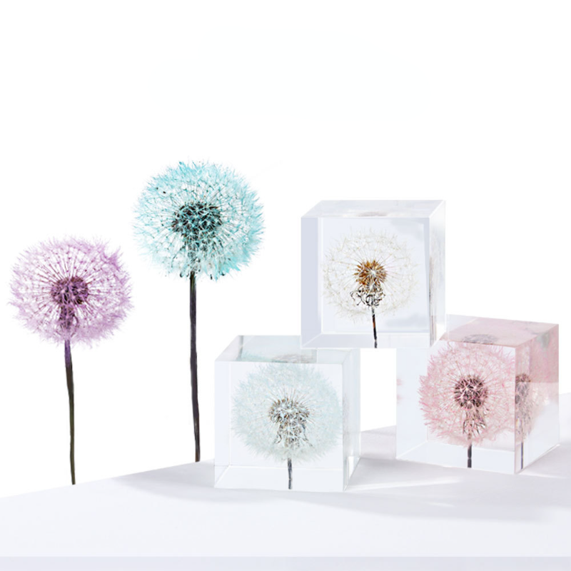 ดอกไม้สดและดอกไม้แห้งสำหรับตกแ - Flower Preservation Resin บทวิจารณ์และราคา